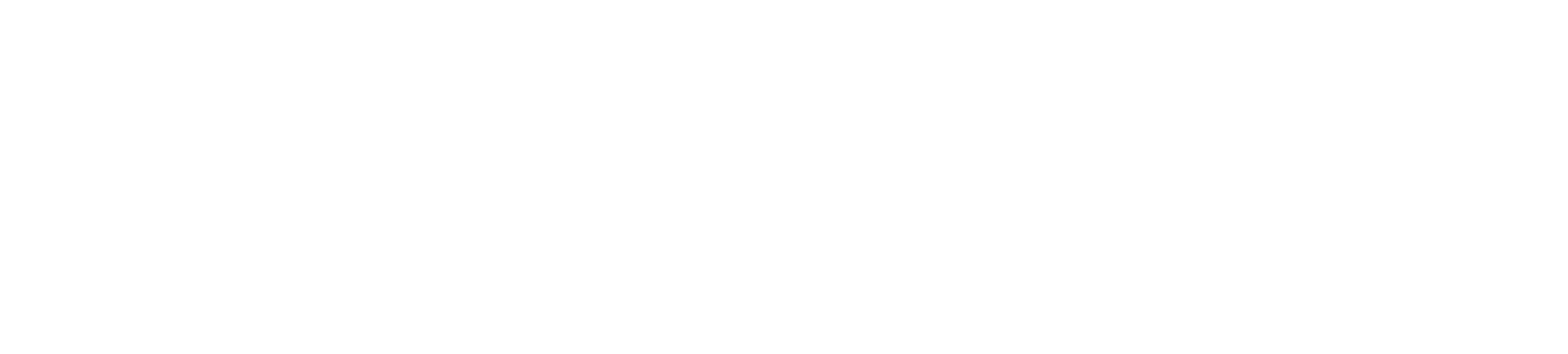 Goldy Plastic India